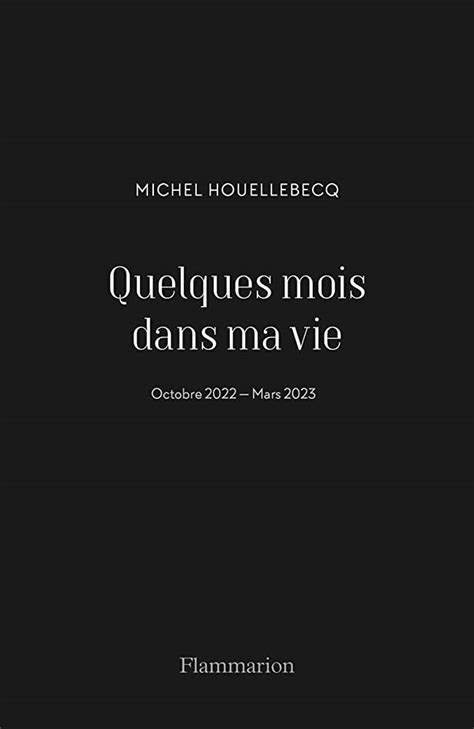 Michel Houellebecq Accidental Porn Star Book And Film Globe Flipboard