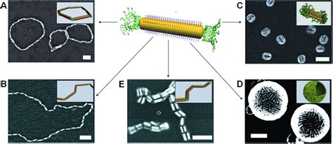 Self Assembly Of Polymer Tethered Gold Nanorods In Selective Solvents