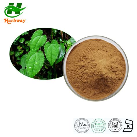 Herbway Kosher Halal Fssc Haccp Certified Plant Extract Epimedium