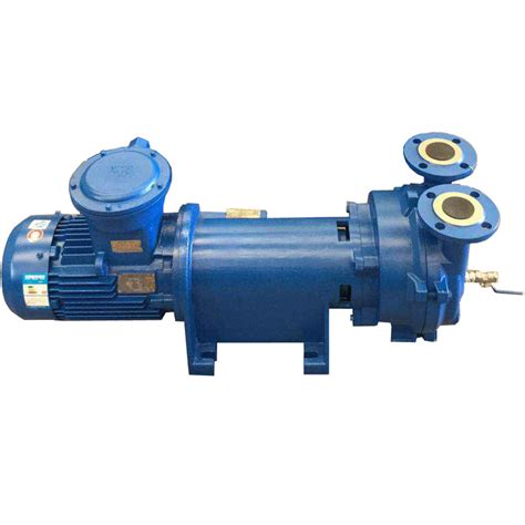 2bv Water Circulating Liquid Ring Vacuum Pump With Ex Motor Buy 2bv