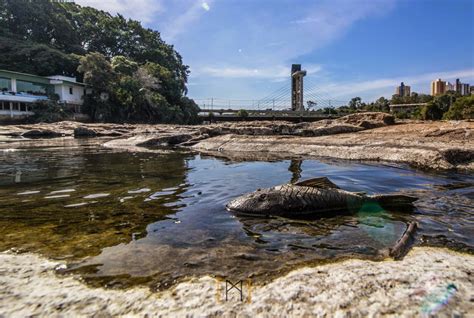 Blog SOS Rios Do Brasil RIO PIRACICABA AGONIZA