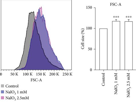 Ab Arpe Cells Were Treated With Different Concentrations Of Naio