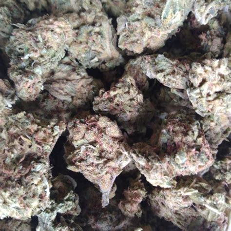 Lemon Haze AAA Buy Online In Canada At Grass Chief