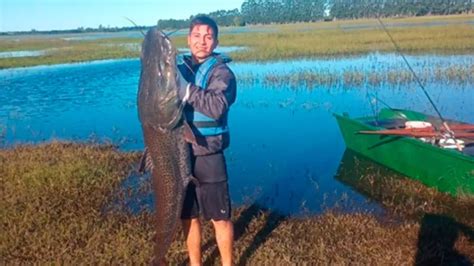 Tres jóvenes pescaron un surubí de 40 kilos en el río Uruguay