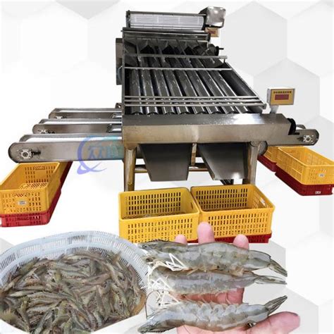 Shrimp Grading Machine 380V 50Hz Shrimp Grader Machine Durable