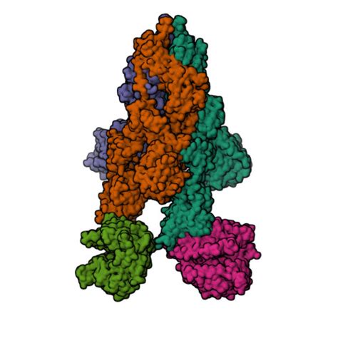 Rcsb Pdb T K Cryo Em Structure Of Sars Cov Omicron Spike Protein