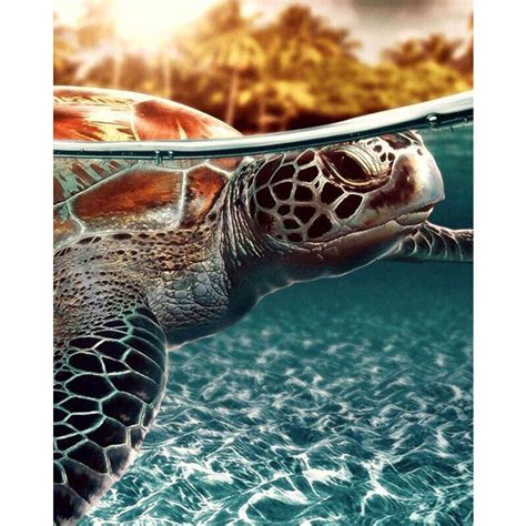 Cheap 100 Full 5D Diy Daimond Painting Cross Stitch Turtle Diamond