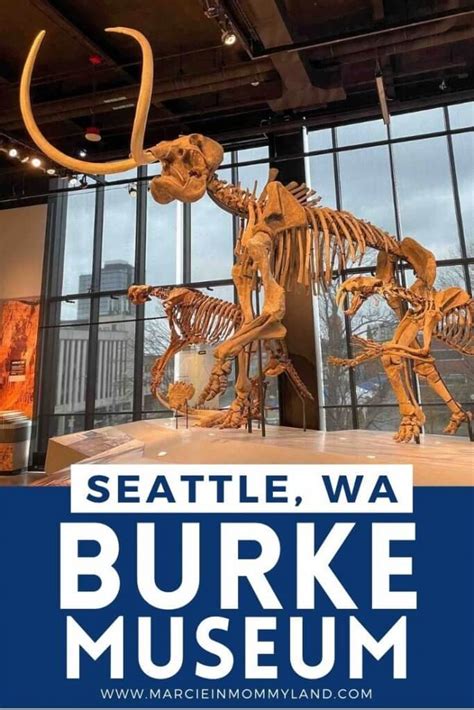 How To Visit The Burke Museum In Seattle With Kids Marcie In Mommyland