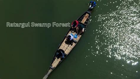 Ratargul Swamp Forest, Sylhet, Bangladesh | Travel Bangladesh