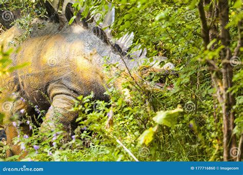 `prehistoric Park` As It Was Million Years Ago Editorial Image