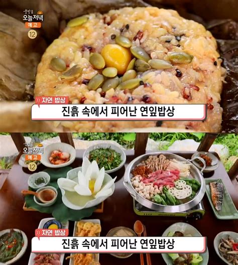 ‘생방송오늘저녁 부여 연잎밥상 맛집 위치는 연잎밥정식 연버섯전골 “은은히 퍼지는 향기” 장필구 기자 톱스타뉴스