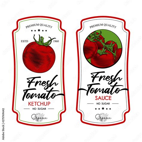 Tomato Ketchup Sauce Badge Label Design Set Vector Hand Drawn