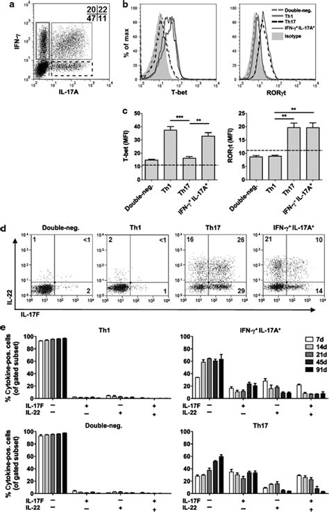 Interferon Ifn γil 17a Cd4 T Cells Express T Bet And Rorγt