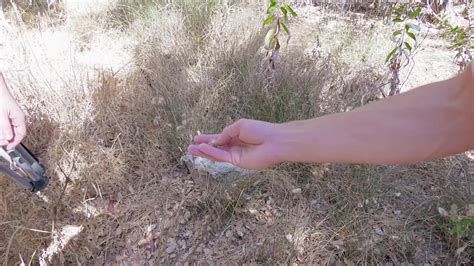 Adult Empire Award Winning Retailer Of Streaming Porn Videos On Demand Adult Dvds Sex Toys