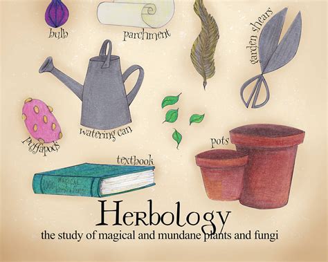 Herbology Poster Hogwarts Subject Poster Magic Class Etsy