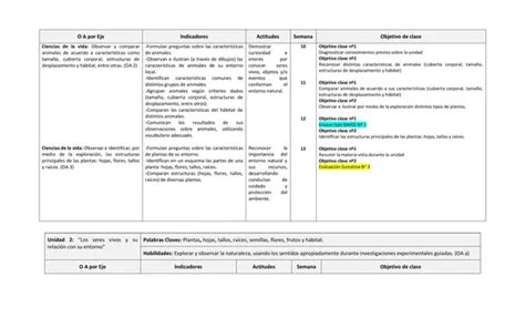 Planificacion Anual Ciencias Primero Basico Profe Social