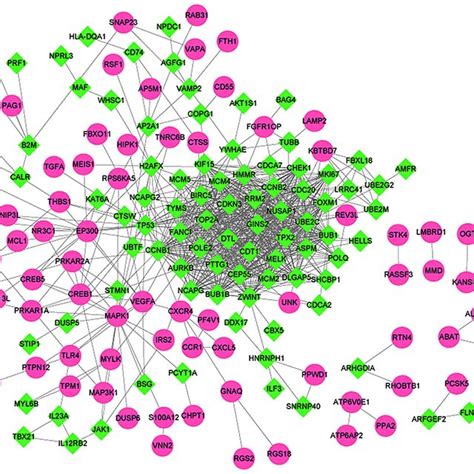 Protein Protein Interaction Network Analysis Of Degs The Pink Nodes