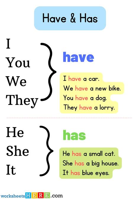 Have And Has Using And Example Sentences Pdf Worksheet