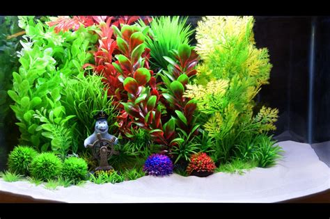 Themed Aquarium of the Month June 2018