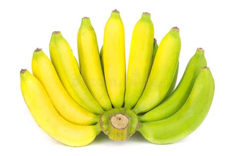 Bunch Of Gros Michel Banana Isolated White Background Stock Image