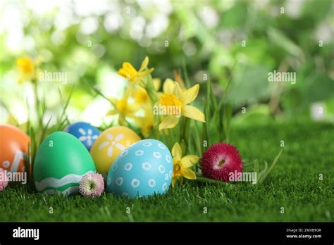 Colorful Easter Eggs And Flowers In Green Grass Space For Text Stock