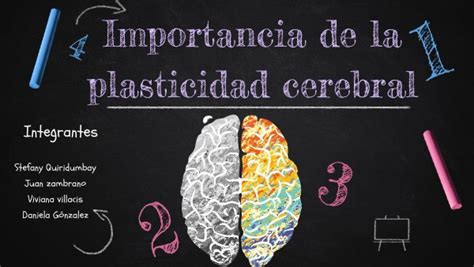 Plasticidad Cerebral