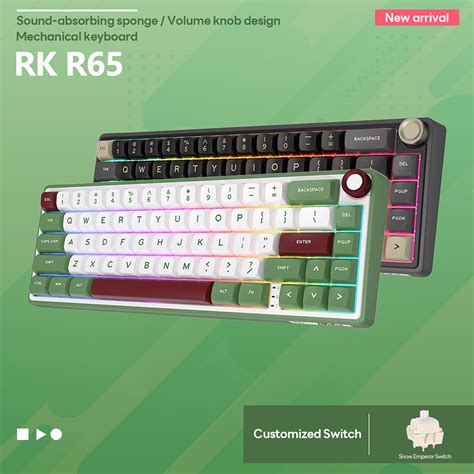 RK ROYAL KLUDGE RKR65 Wired Gasket Hot Swapple Mechanical Keyboard Shopee Malaysia
