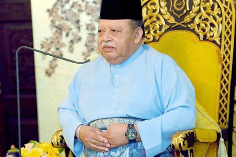 Isu Perkauman Jangan Curah Minyak Ke Dalam Api Raja Perlis