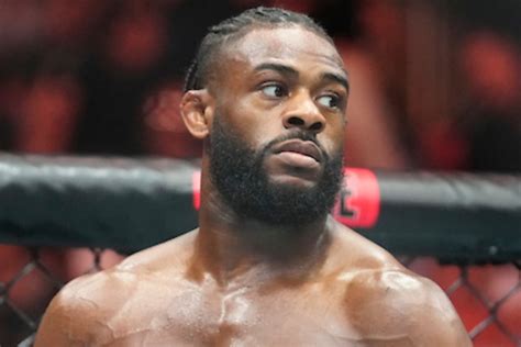 Sterling UFC The Rise Of A Champion In Mixed Martial Arts