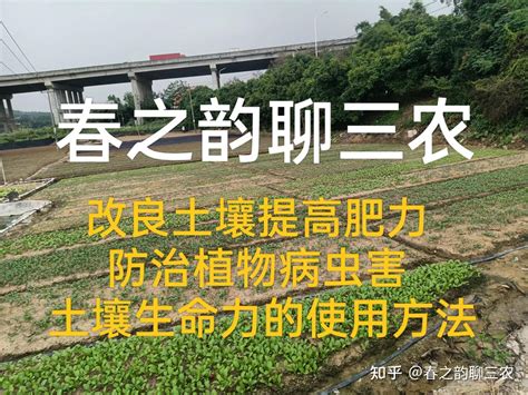 改良土壤提高肥力 防治植物病虫害 土壤生命力的使用方法 知乎