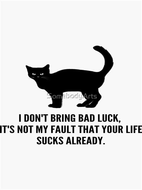 Black Cats Don T Bring Bad Luck Sticker