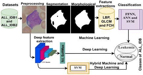 Multi Method Diagnosis Of Blood Microscopic Sample For Early Detection