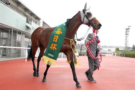 【3歳次走報】毎日杯を制したメイショウタバルは浜中俊騎手で皐月賞に向かう サンスポzbat