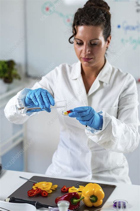 Food Safety Inspector Working With Vegetables Stock Image F0244872