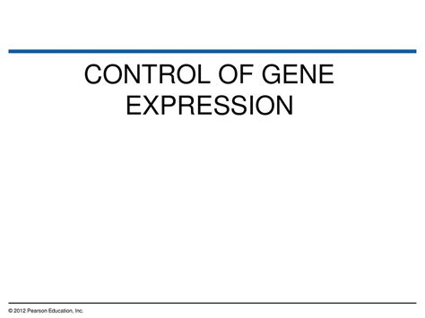 How Genes Are Controlled Ppt Download