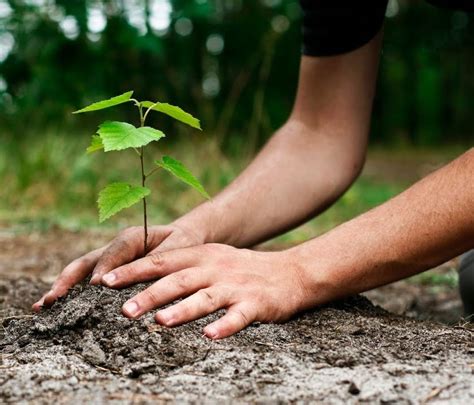 Tu B'Shevat Tree Planting Ceremony - Riverwalk Fort Lauderdale