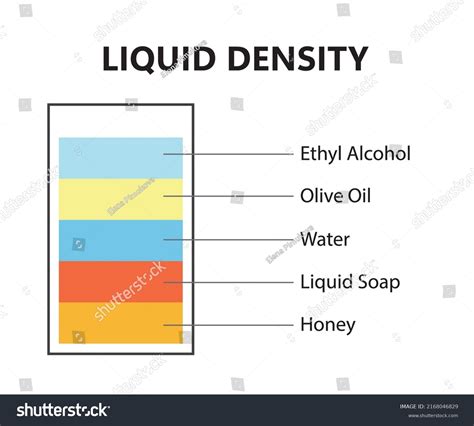 Liquid Density Scientific Experiment Concept Separate Stock Vector