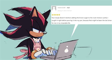 Shadow writes a review | Sonic the Hedgehog | Know Your Meme