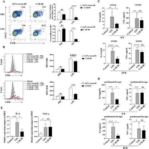 Carvacrol Inhibited Lps Induced Macrophage Activation And The Download Scientific Diagram