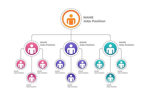 Organizational Chart Sazeh Farafan Engineering Company