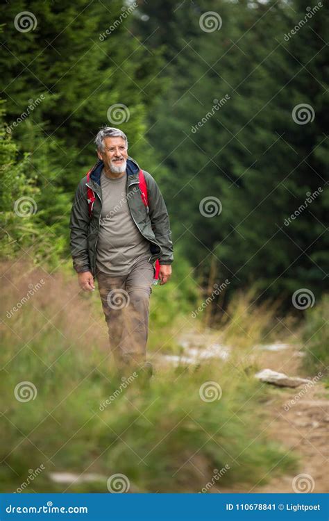 Active Senior Hiking In High Mountains Stock Image Image Of Active