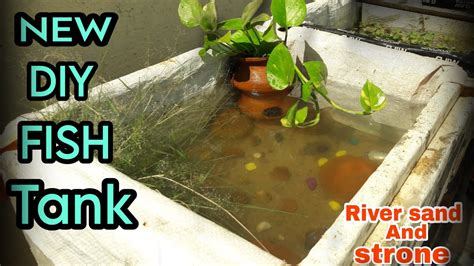 New DIY Molly Pond For Free Cost Using River Sand Stone Molly