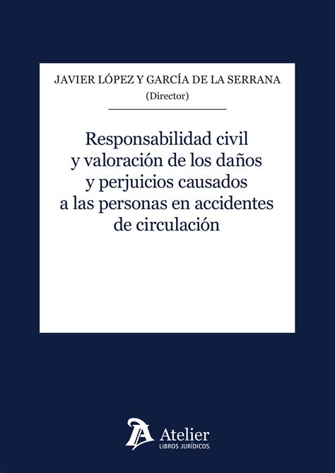 Librer A Dykinson Responsabilidad Civil Y Valoraci N De Los Da Os Y