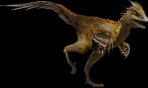 Hesperonychus Pictures & Facts - The Dinosaur Database