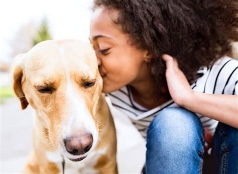 Central Nebraska Humane Society: Empowering Animal Welfare