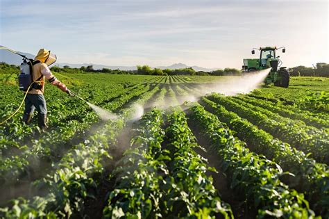 Diferencia entre desinsectación y fumigación en el contexto agrícola