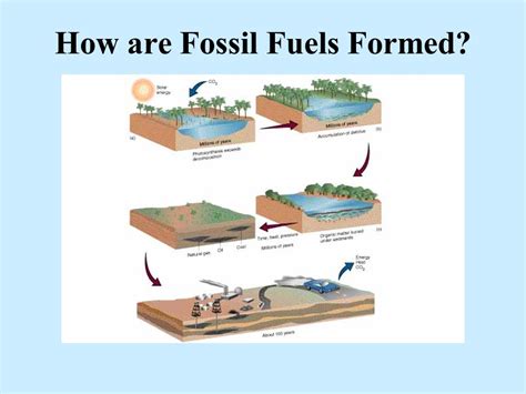 Arriba 71 Imagen How Were Fossil Fuels Formed Abzlocalmx