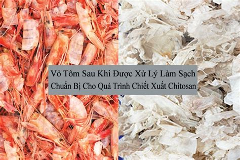 Quy trình chiết xuất Chitin từ vỏ tôm cua