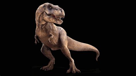 Rexy Wiki The Jurassic World Amino