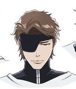 Aizen tybw in 2023 | Bleach anime, Bleach manga, Bleach (anime)